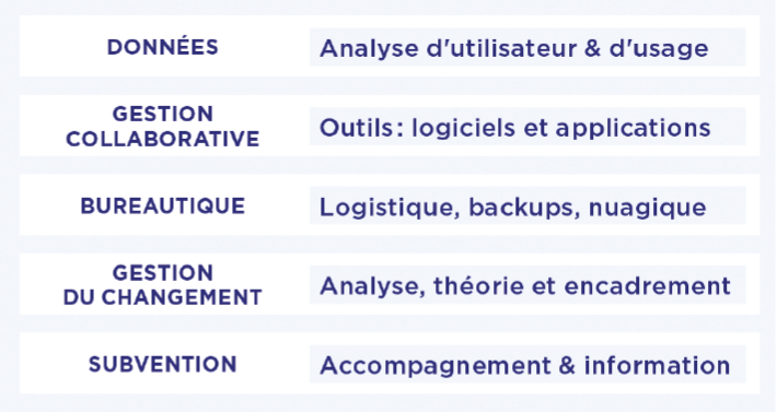 Organisation
