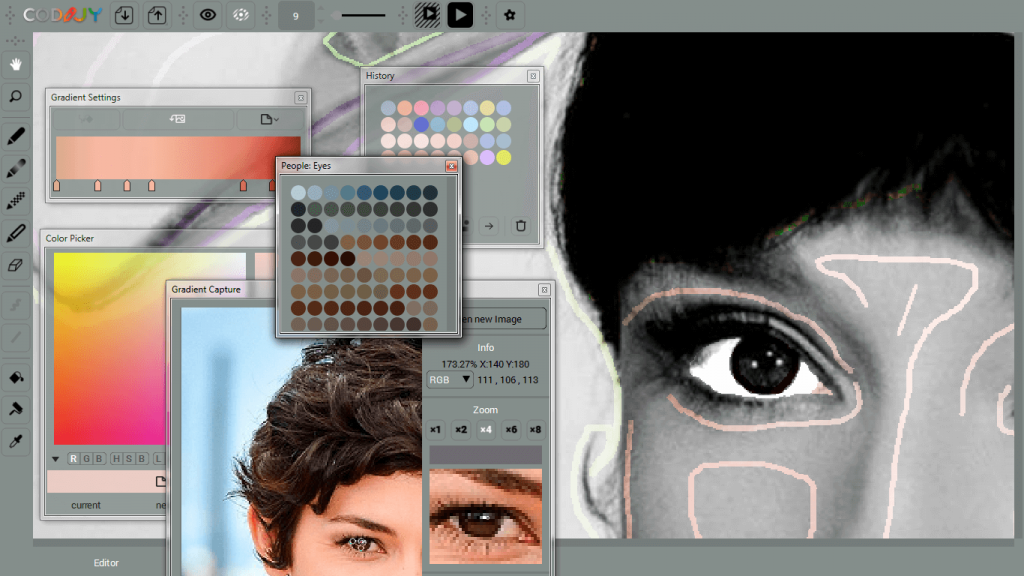 Colot-Picking-Tools-CODIJY